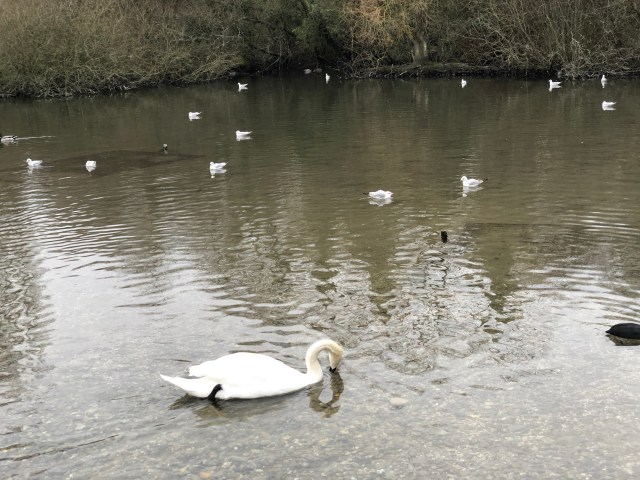 0nbrop9kt6s%gpmzdqslpq