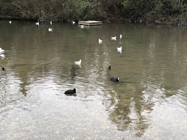 hzqimwfnrmklzc9rmwqnua