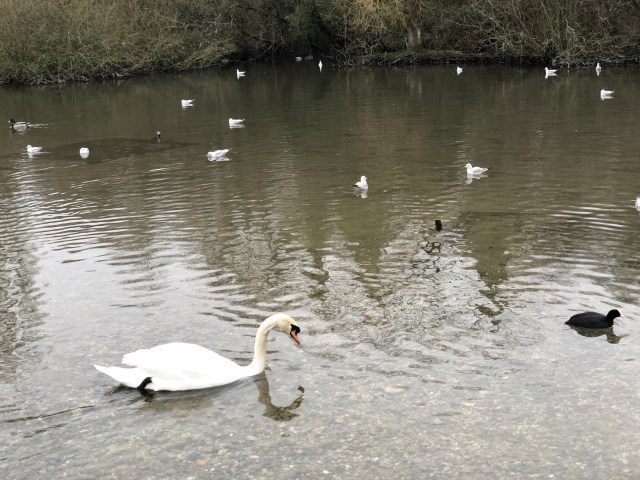 ntmwlucrriyl1gbk80i%yg