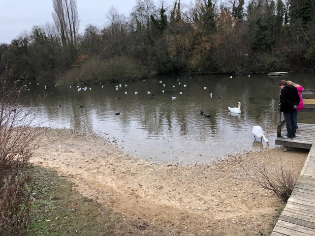 s5zmbs3uswiqqekijj0pfg