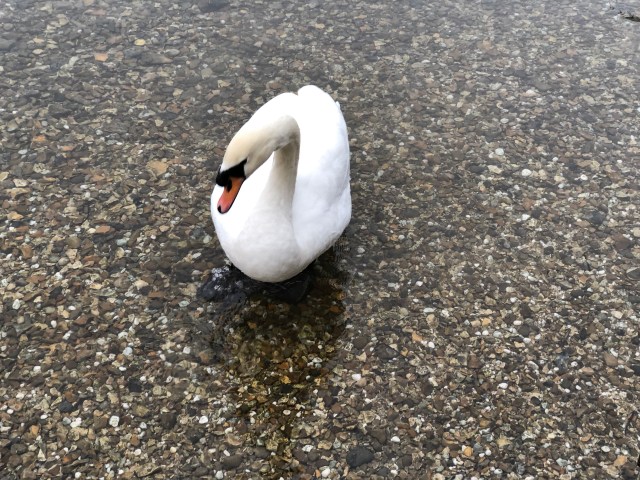 ufs%i2sstms5kydxvb1kva