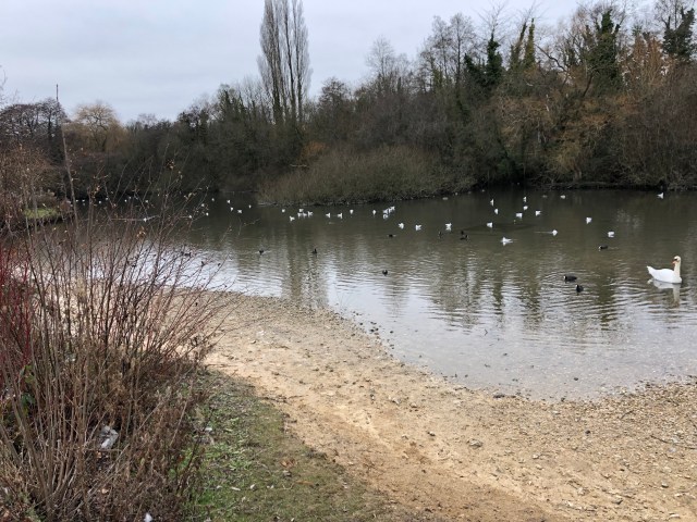 u+oputysrechmjf0dj+%ha