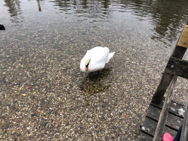 zbwxr82tqhmbdyvqxv+slg