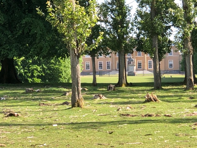 97D71CBB-C089-470E-BAD4-609FD16FBDBD