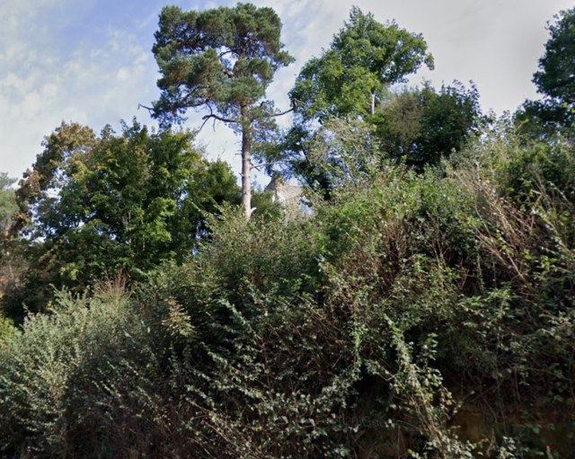 Screenshot 2021-03-22 at 14.53.37